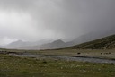 DSC_4320